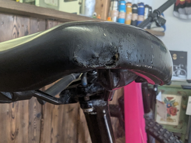 Alpine Trail XR AXS Testrad Detailbild