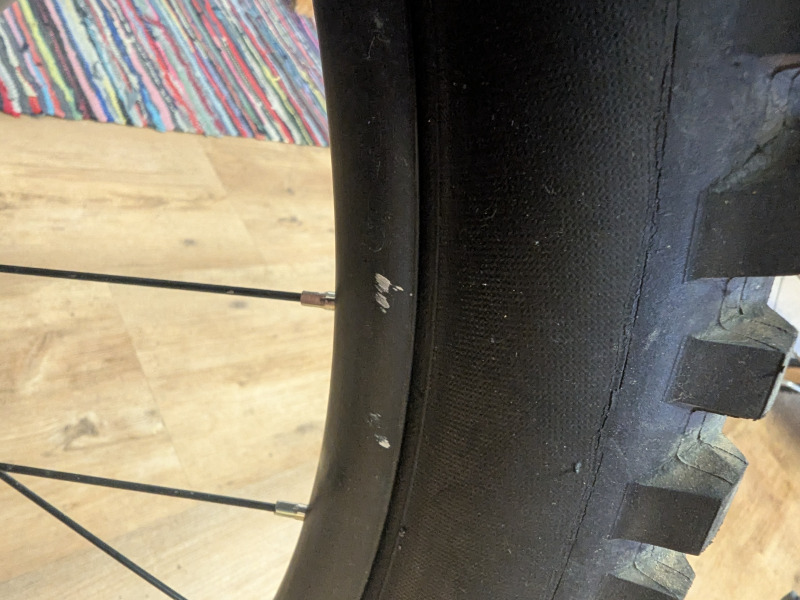 Alpine Trail XR Testrad Detailbild