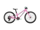 Wahoo 20" Path – Pink Frosting